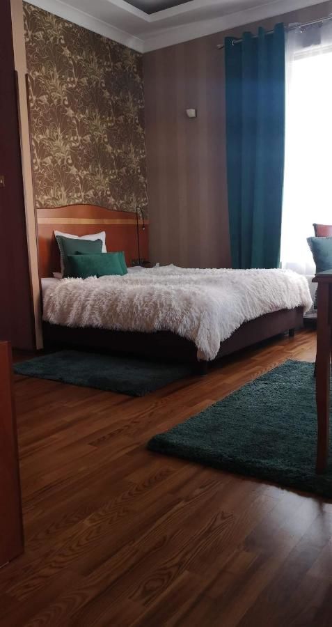 Отели типа «постель и завтрак» Villa Solankowa Иновроцлав-9